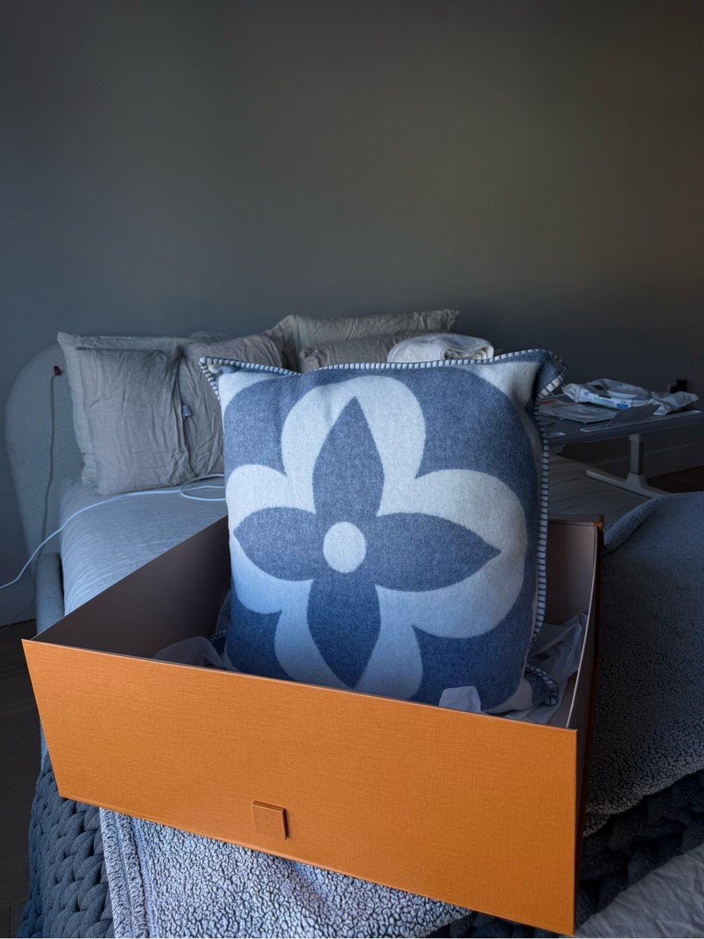 Louis Vuitton Neo Monogram Cushion
